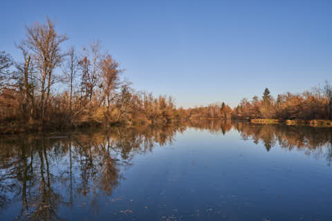 Gemeinde Kirchdorf Landkreis Rottal-Inn Waldsee Lago Herbst (Dirschl Johann) Deutschland PAN